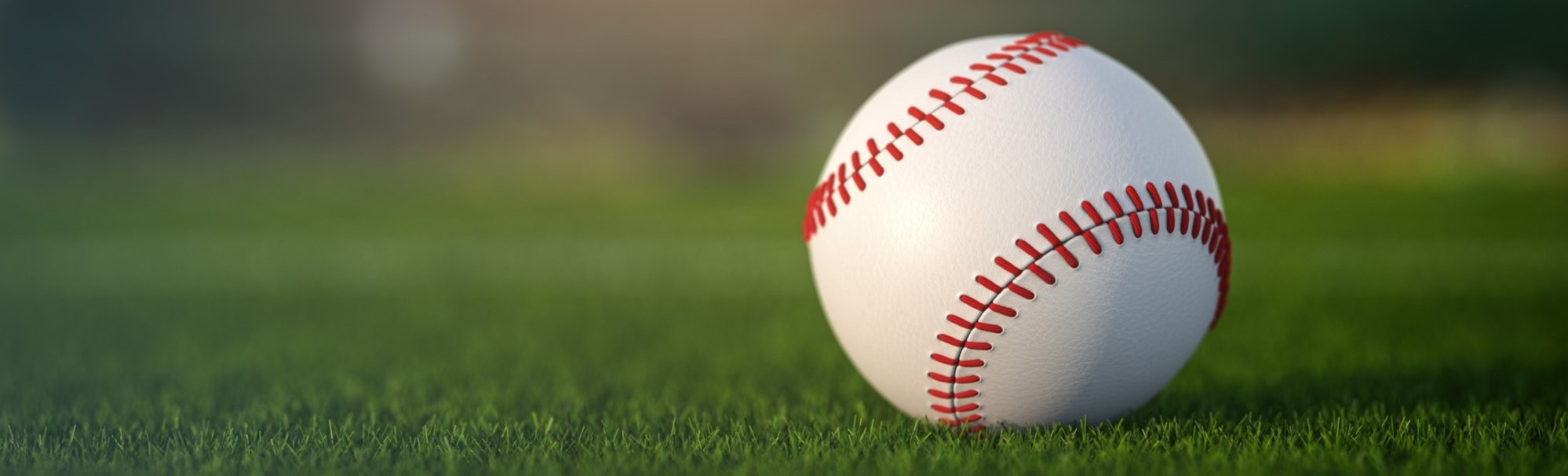 Baseball Sitting in Grass