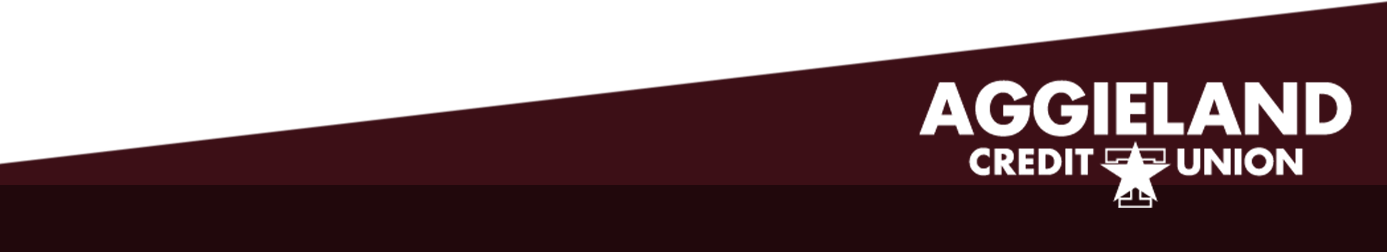 Aggieland Credit Union Logo Footer