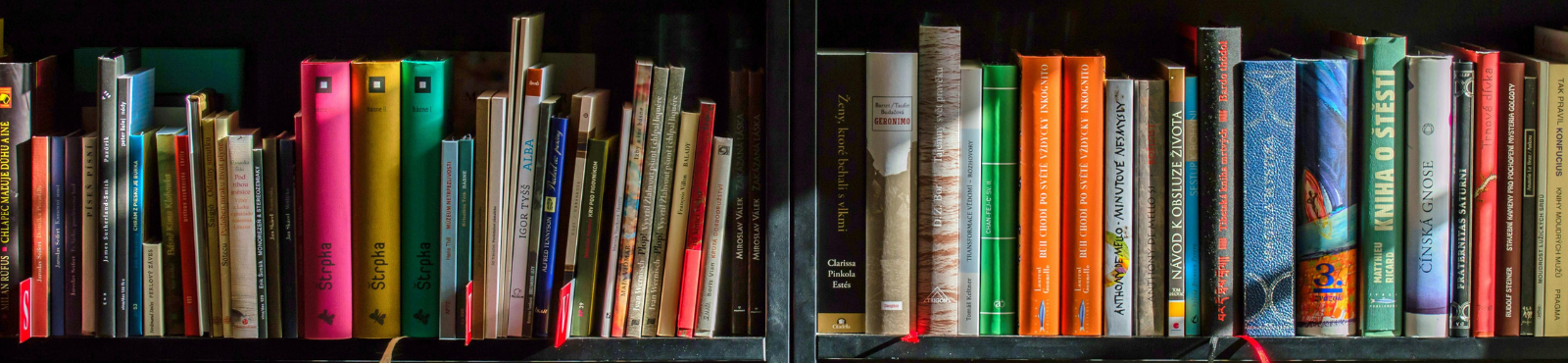 A row of books from a library. 